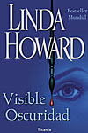 Descargar VISIBLE OSCURIDAD