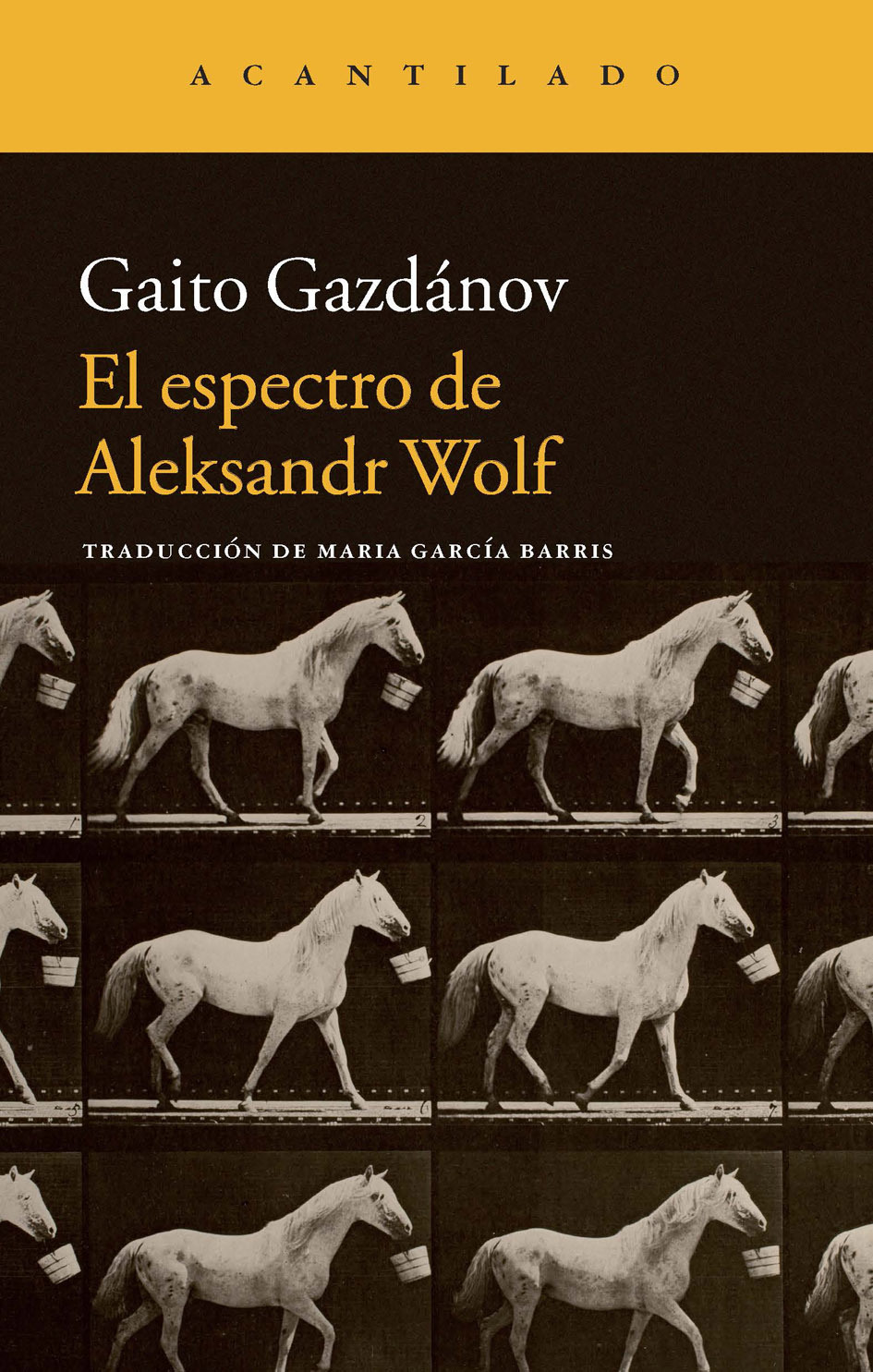Descargar EL ESPECTRO DE ALEKSANDR WOLF