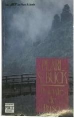 Descargar PUENTE DE PASO