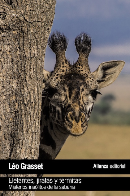 Descargar ELEFANTES  JIRAFAS Y TERMITAS