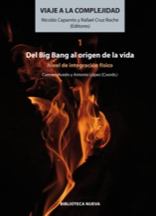 Descargar VIAJE A LA COMPLEJIDAD I DEL BIG BANG AL ORIGEN DE LA VIDA