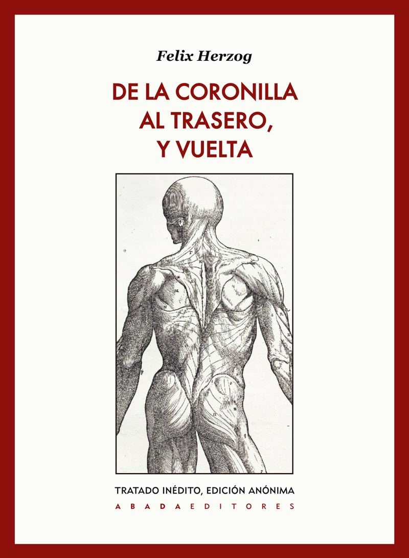 Descargar DE LA CORONILLA AL TRASERO  Y VUELTA