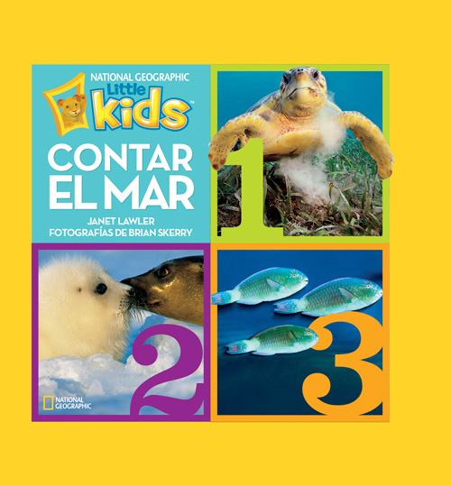 Descargar CONTAR EL MAR