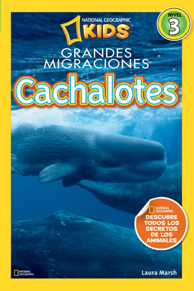 Descargar CACHALOTES