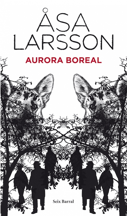 Descargar AURORA BOREAL
