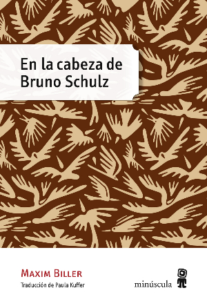 Descargar EN LA CABEZA DE BRUNO SCHULZ