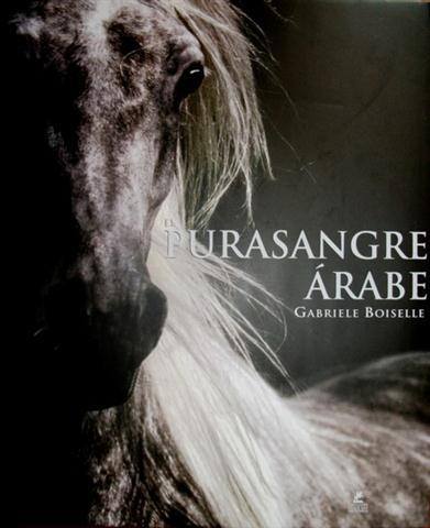 Descargar PURASANGRE ARABE