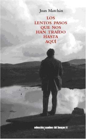 Descargar LOS LENTOS PASOS QUE NOS HAN TRAIDO HASTA AQUI