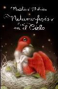 Descargar METAMORFOSIS EN EL CIELO