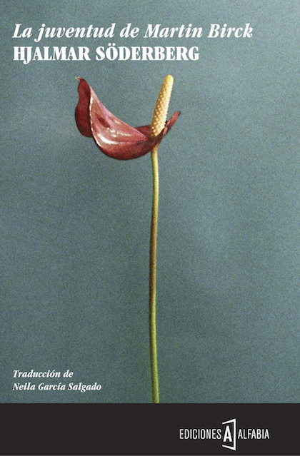 Descargar LA JUVENTUD DE MARTIN BIRK