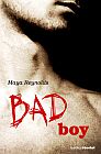 Descargar BAD BOY