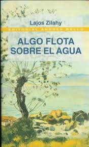 Descargar ALGO FLOTA SOBRE EL AGUA (ALGO SE LLEVA EL RIO)