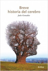 Descargar BREVE HISTORIA DEL CEREBRO