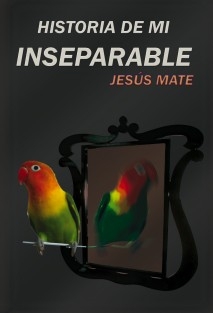 Descargar HISTORIA DE MI INSEPARABLE