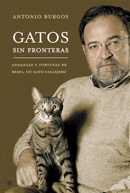 Descargar GATOS SIN FRONTERAS