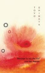 Descargar RECOGE LA LUZ DEL SOL CON LAS MANOS