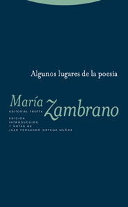 Descargar ALGUNOS LUGARES DE LA POESIA