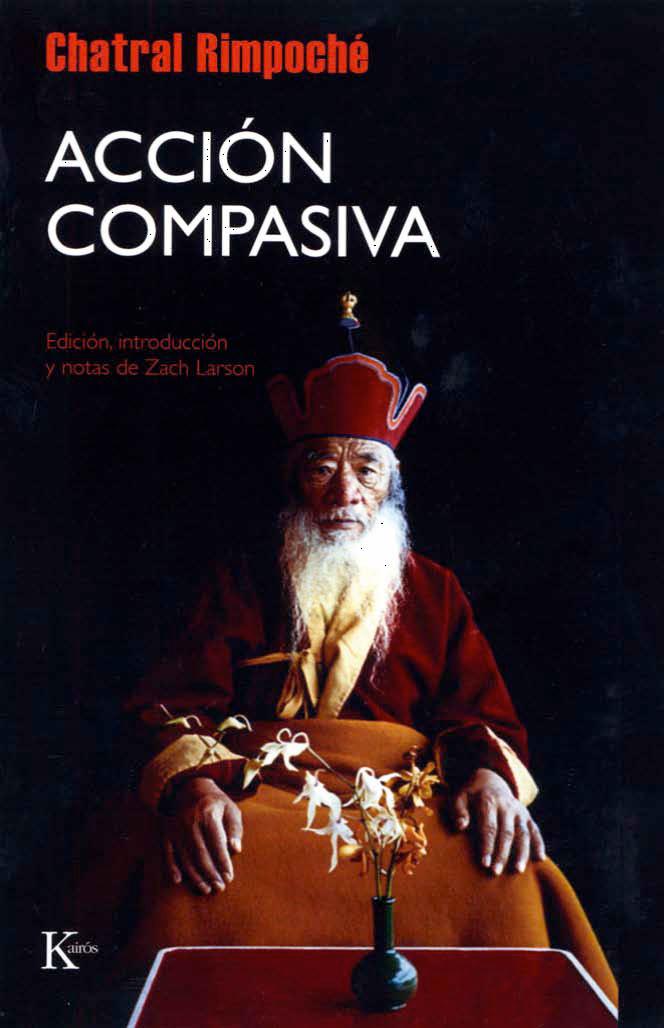 Descargar ACCION COMPASIVA