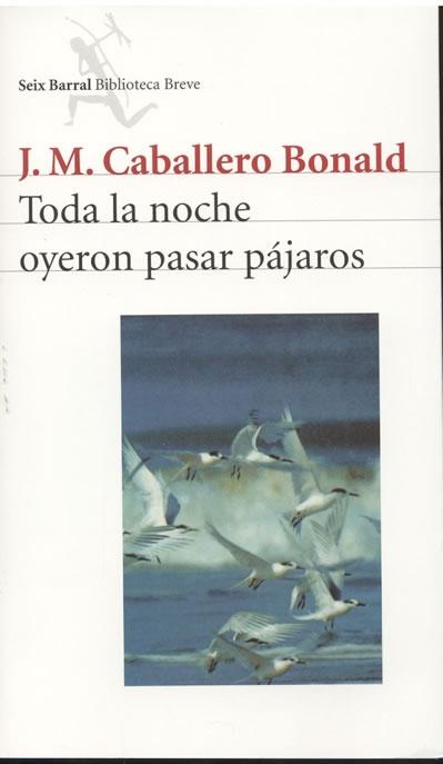 Descargar TODA LA NOCHE OYERON PASAR PAJAROS