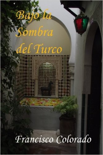 Descargar BAJO LA SOMBRA DEL TURCO