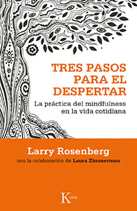 Descargar TRES PASOS PARA EL DESPERTAR LA PRACTICA DEL MINDFULNESS EN LA VIDA COTIDIANA