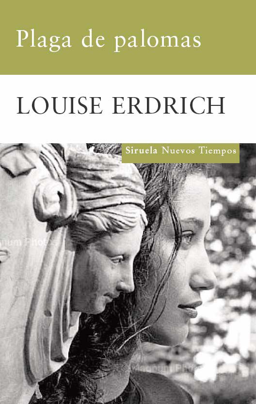 Descargar PLAGA DE PALOMAS