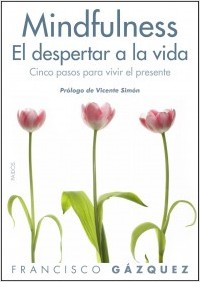 Descargar MINDFULNESS EL DESPERTAR A LA VIDA: CINCO PASOS PARA VIVIR EL PRESENTE