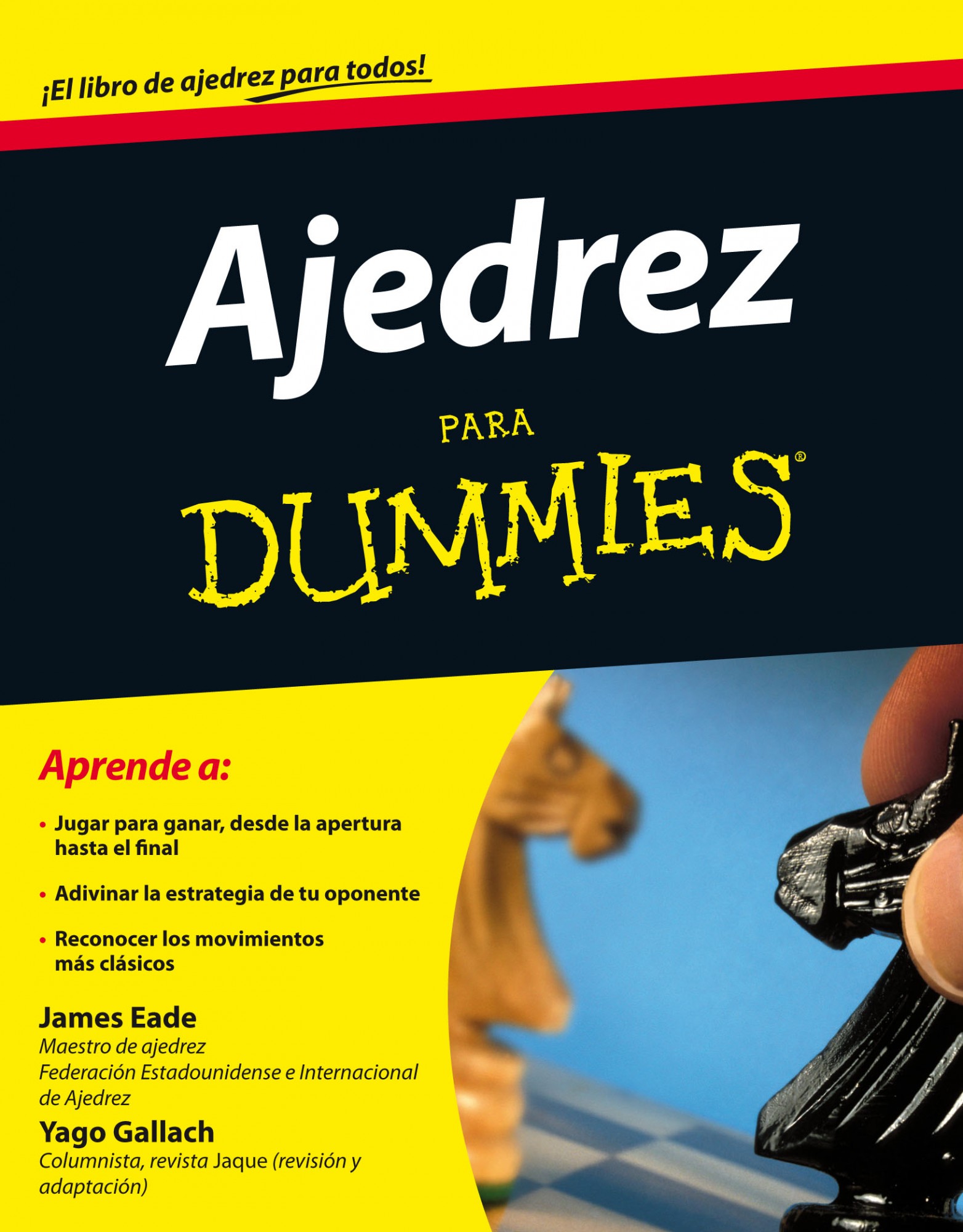 Descargar AJEDREZ PARA DUMMIES