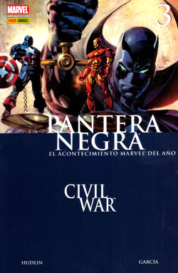 Descargar PANTERA NEGRA Nº 3: GIRA MUNDIAL  CIVIL WAR