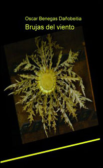 Descargar BRUJAS DEL VIENTO