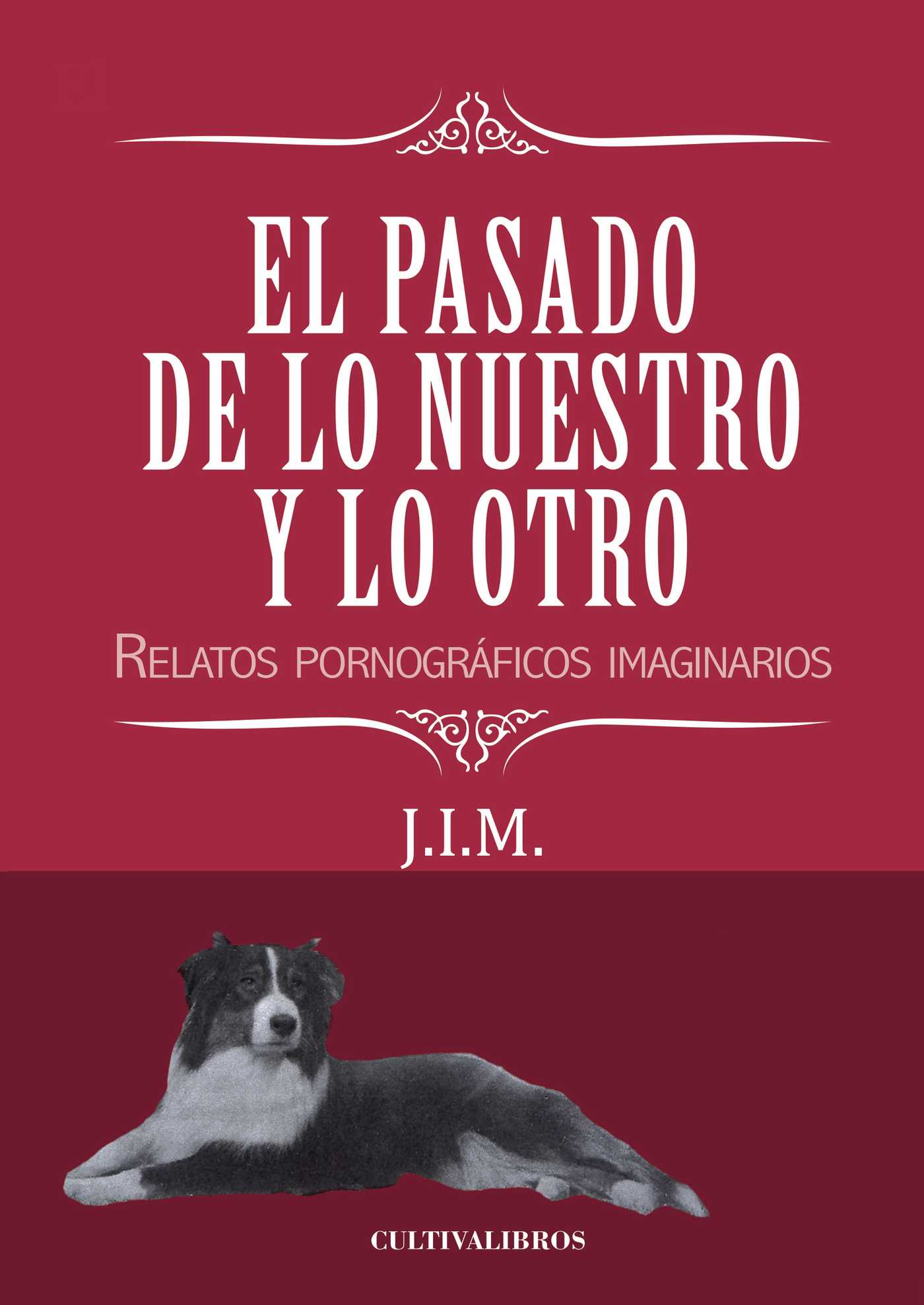 Descargar EL PASADO DE LO NUESTRO Y LO OTRO  RELATOS PORNOGRAFICOS IMAGINARIOS