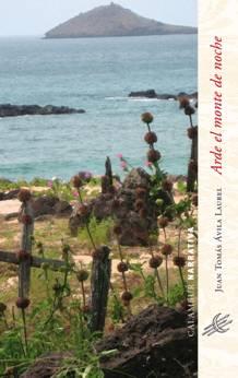 Descargar ARDE EL MONTE DE NOCHE