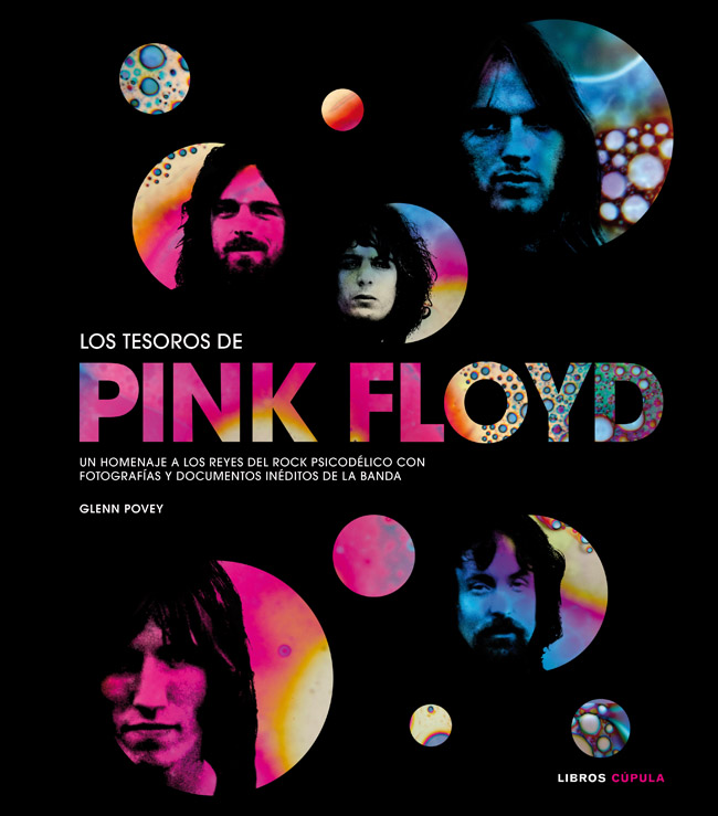 Descargar LOS TESOROS DE PINK FLOYD