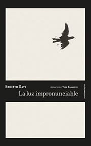 Descargar LA LUZ IMPRONUNCIABLE