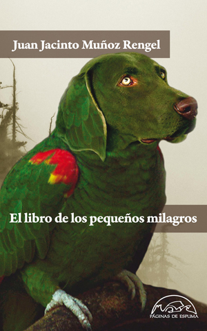 Descargar EL LIBRO DE LOS PEQUEÑOS MILAGROS