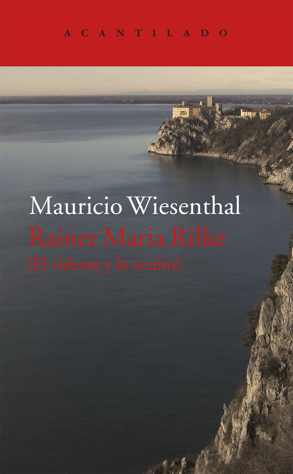 Descargar RAINER MARIA RILKE (EL VIDENTE Y LO OCULTO)
