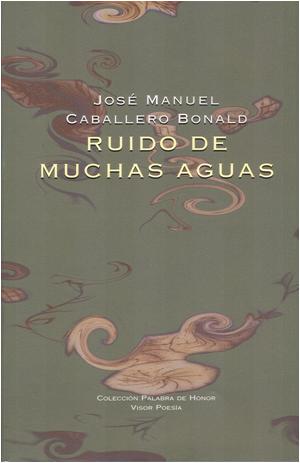 Descargar RUIDO DE MUCHAS AGUAS