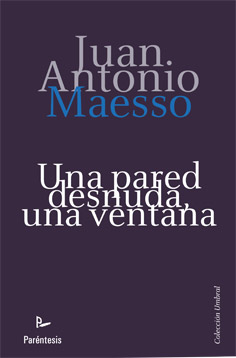 Descargar UNA PARED DESNUDA  UNA VENTANA