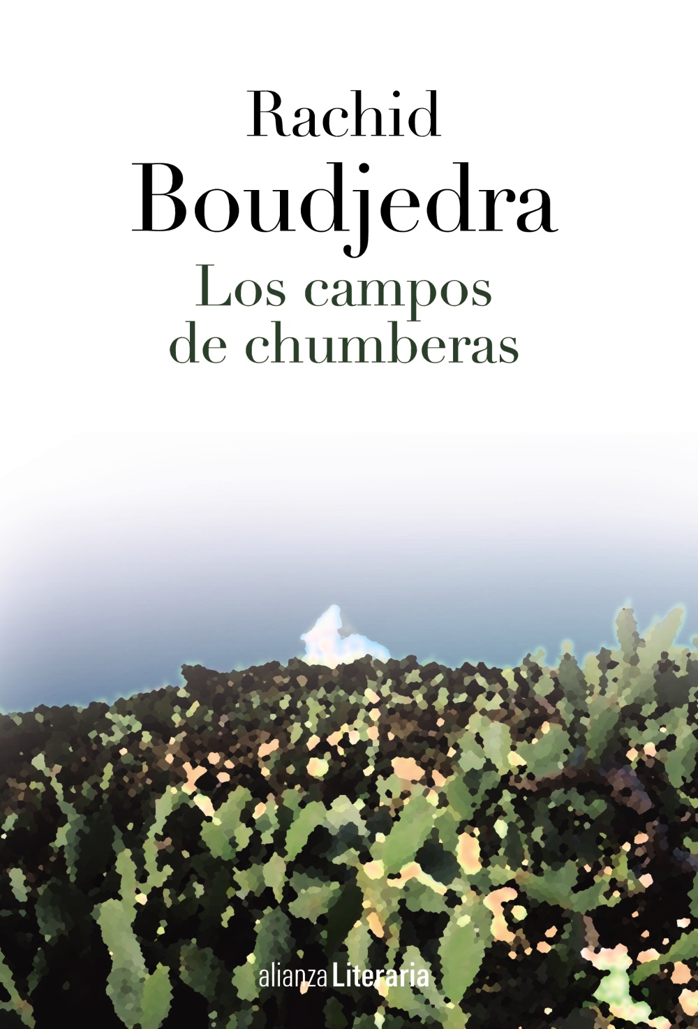 Descargar LOS CAMPOS DE CHUMBERAS