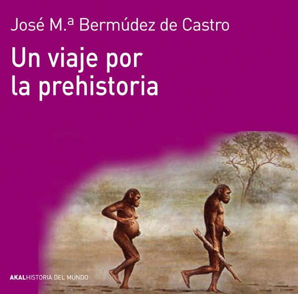Descargar UN VIAJE POR LA PREHISTORIA