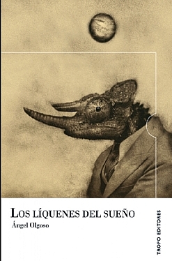 Descargar LOS LIQUENES DEL SUEÑO