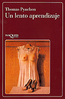 Descargar UN LENTO APRENDIZAJE