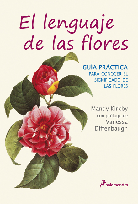Descargar LENGUAJE DE LAS FLORES: GUIA PRACTICA
