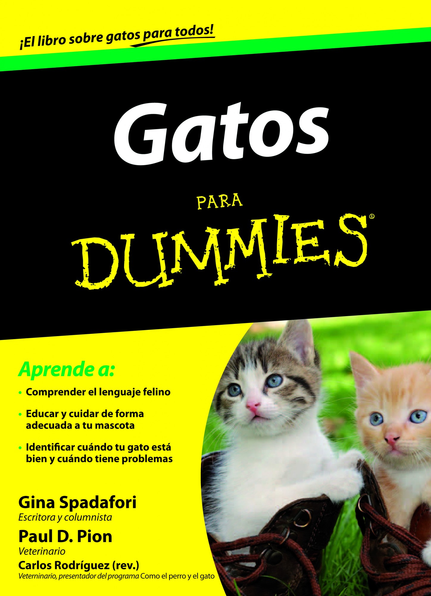 Descargar GATOS PARA DUMMIES