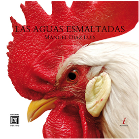 Descargar LAS AGUAS ESMALTADAS