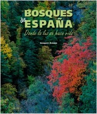 Descargar BOSQUES DE ESPAÑA