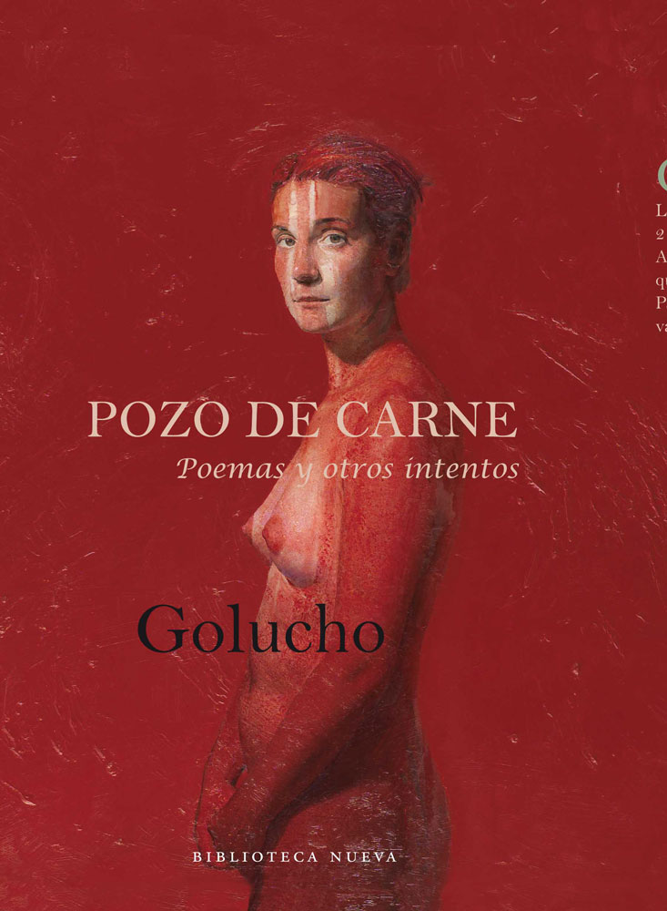 Descargar POZO DE CARNE  POEMAS Y OTROS INTENTOS