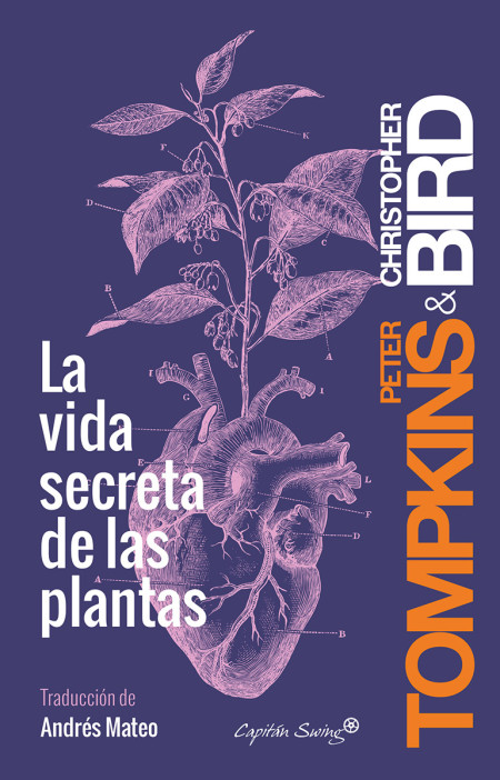 Descargar LA VIDA SECRETA DE LAS PLANTAS