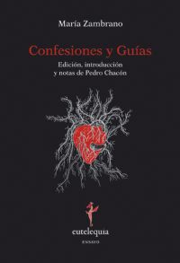 Descargar CONFESIONES Y GUIAS