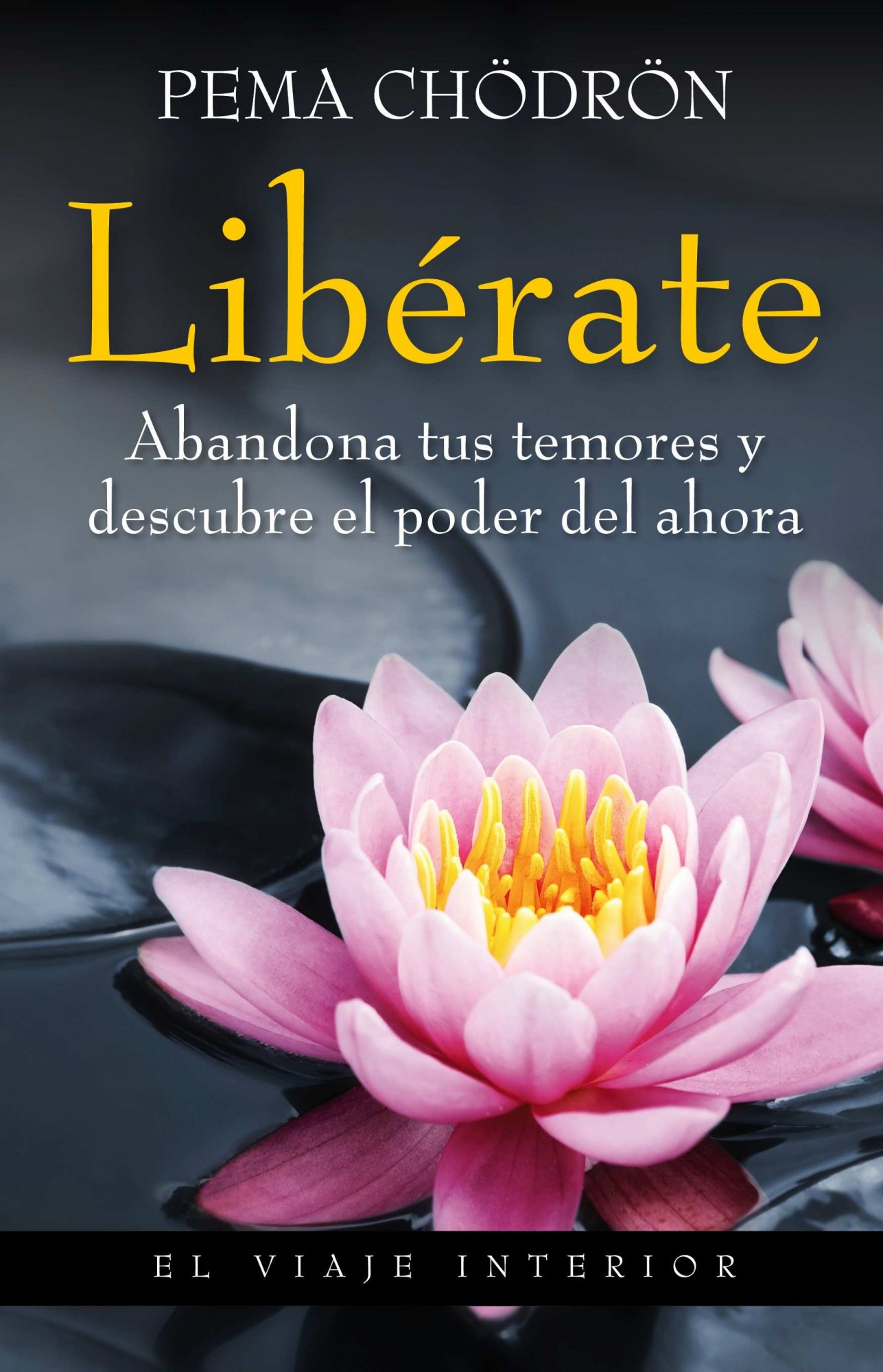 Descargar LIBERATE